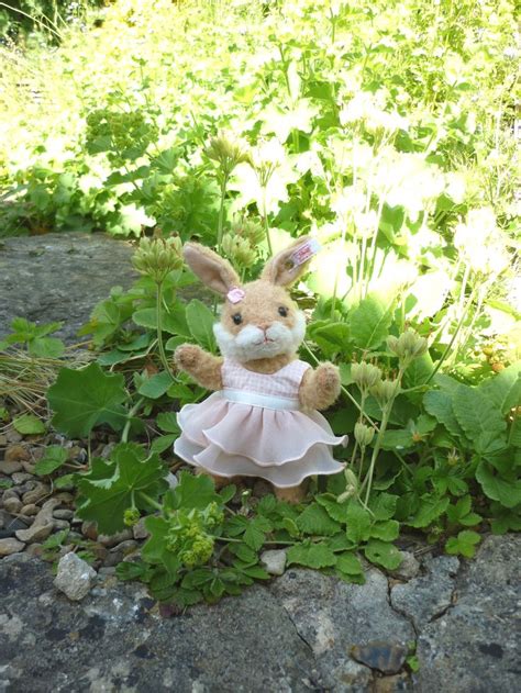 Steiff Valerie Rabbit 